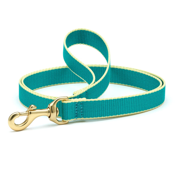 Up Country Color Market Dog Lead
