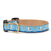 Up Country Gull Watch Dog Collar