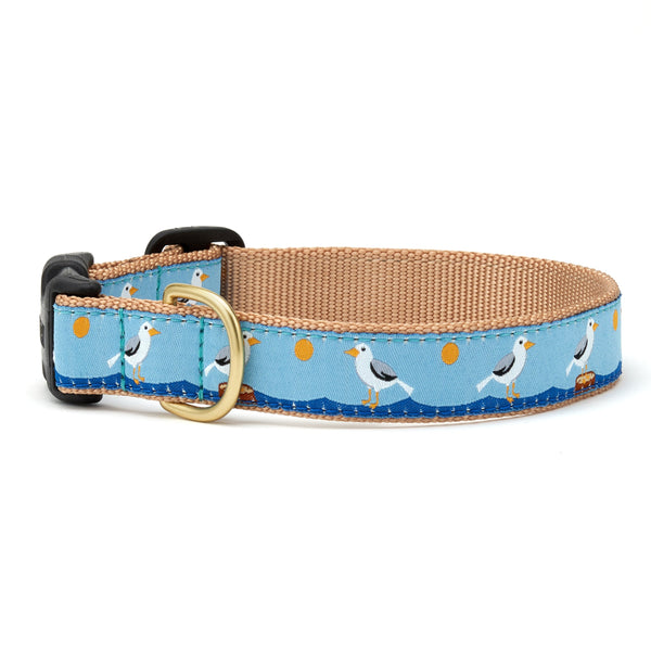 Up Country Gull Watch Dog Collar