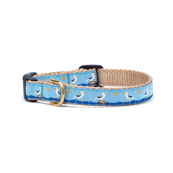 Up Country Gull Watch Small Breed Dog Collar