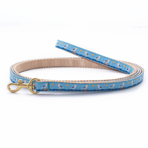 Up Country Gull Watch Small Breed Dog Lead