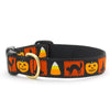 Up Country Halloween Dog Collar