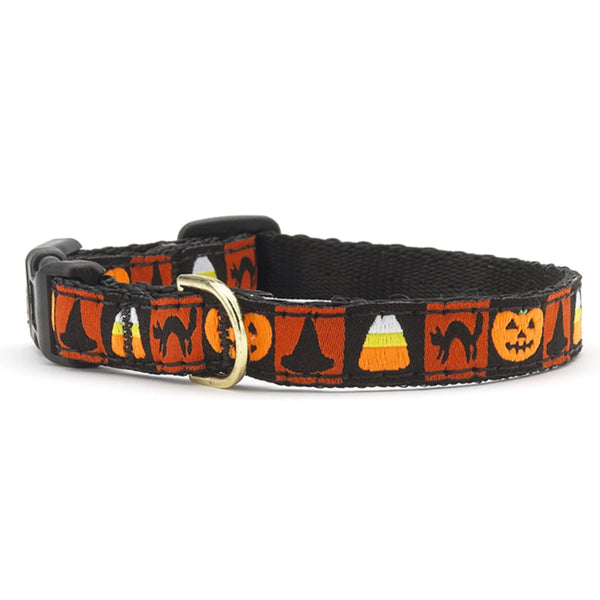 Up Country Halloween Small Breed Dog Collar