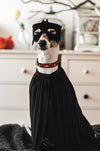 Up Country Halloween Dog Collar