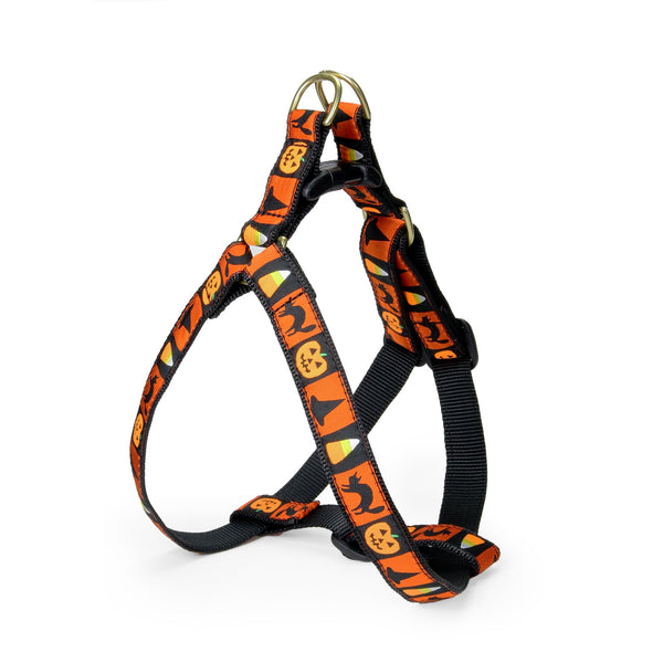 Up Country Halloween Dog Harness