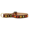 Up Country Harvest Time Martingale Dog Collar