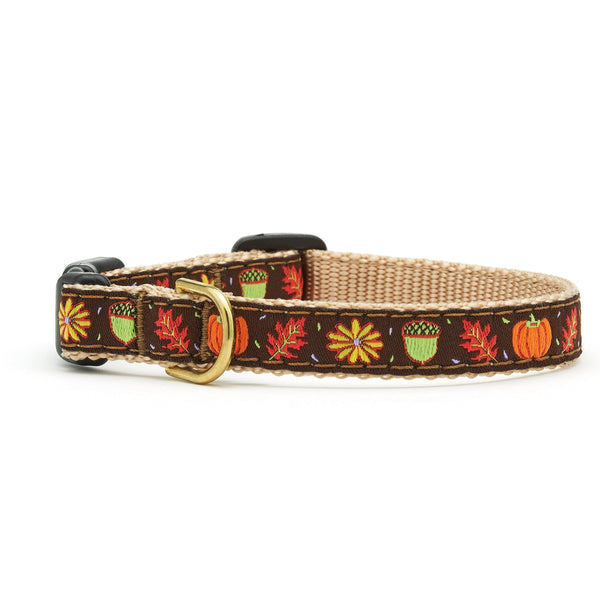 Up Country Harvest Time Small Breed Dog Collar