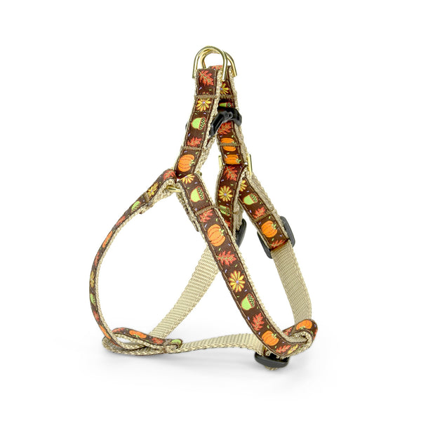 Up Country Harvest Time Small Breed Dog Harness
