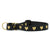 Up Country Heart of Gold Martingale Dog Collar