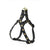 Up Country Heart of Gold Small Breed Dog Harness