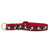Up Country Hearts and Flowers Martingale Dog Collar