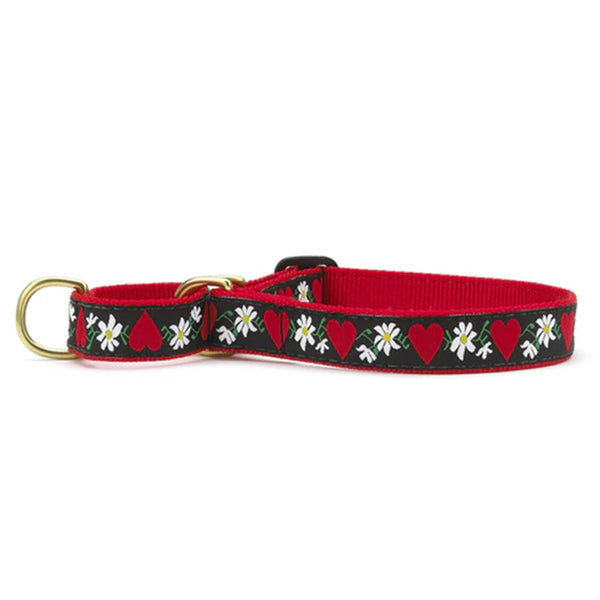 Up Country Hearts and Flowers Martingale Dog Collar