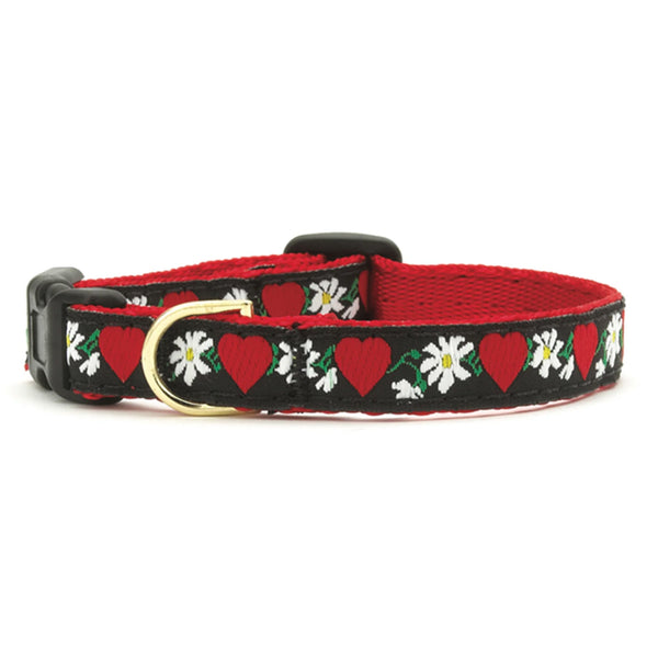 Up Country Hearts and Flowers Small Breed Dog Collar