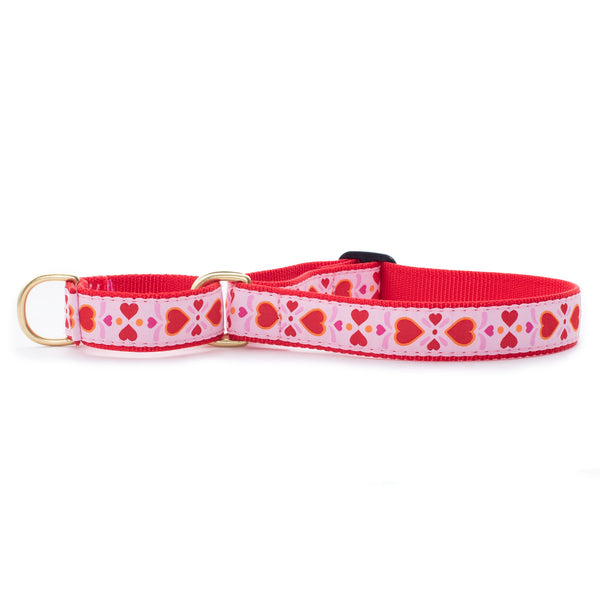 Up Country Heart to Heart Martingale Dog Collar