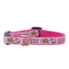 Up Country Howdy Small Breed Dog Collar