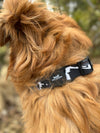Rocky Mountain Dog AirTag Holder