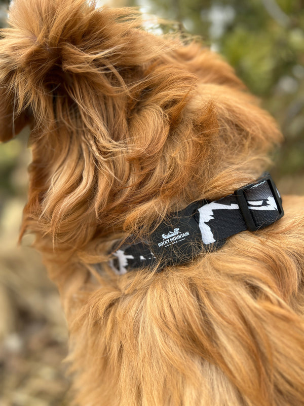 Rocky Mountain Dog AirTag Holder