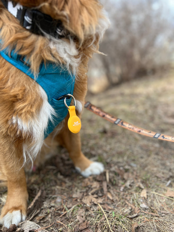 Rocky Mountain Dog AirTag Keychain Holder