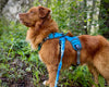 Rocky Mountain Dog Mountaineer Dog Backpack & Stand-Alone Harness