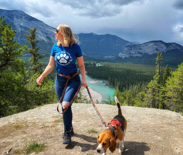 Rocky Mountain Dog Women's Dog Walking T-Shirt