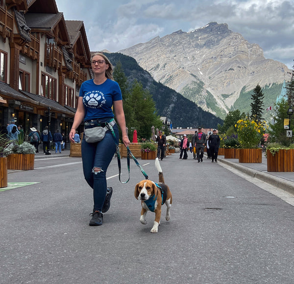 Rocky Mountain Dog Women's Dog Walking T-Shirt