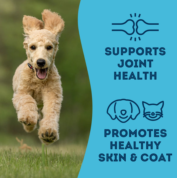 The Granville Island Pet Treatery With Love and Fishes - Premium Dehydrated Sardines Treat For Dogs & Cats (90g bag)