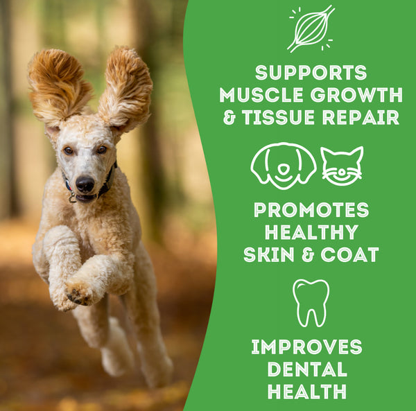 The Granville Island Pet Treatery Why Did The Dog Cross the Road? - Premium Freeze Dried Chicken Treats For Dogs & Cats (50g bag)