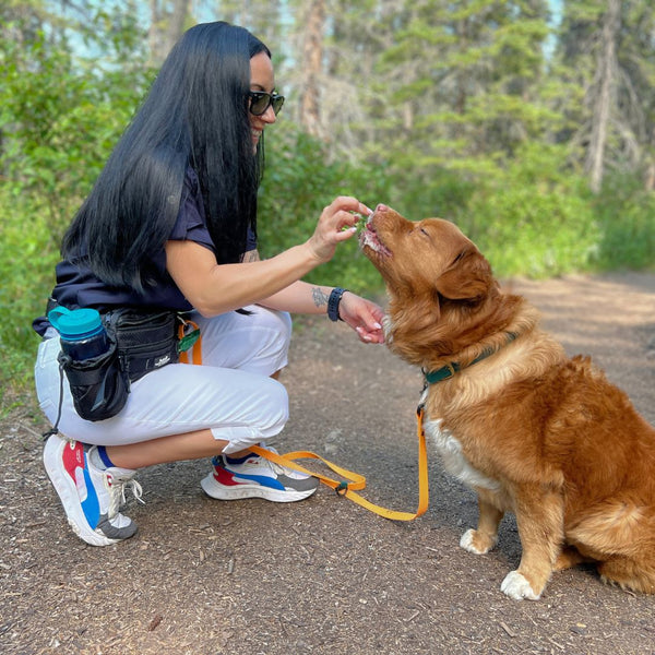 Rocky Mountain Dog Aspen Fanny Pack