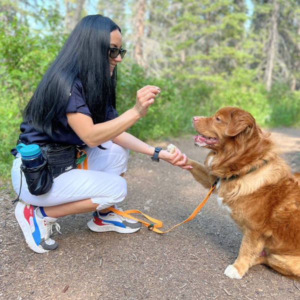 Rocky Mountain Dog Aspen Fanny Pack