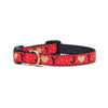Up Country Joy Small Breed Dog Collar