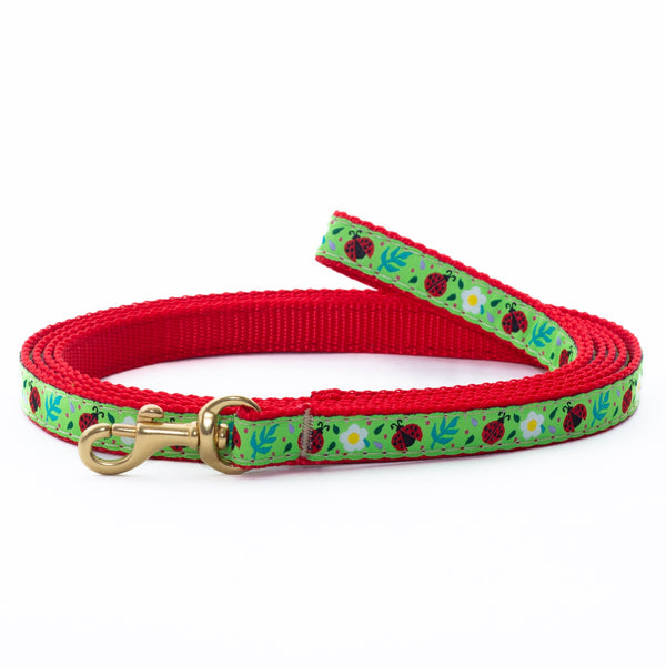 Up Country Ladybugs Small Breed Dog Lead