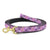 Up Country Lavender Lattice Small Breed Dog Lead