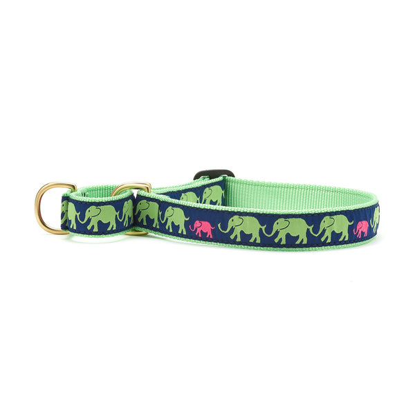 Up Country Leader of the Pach Martingale Dog Collar