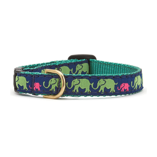 Up Country Leader of the Pach Small Breed Dog Collar