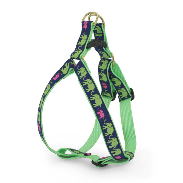 Up Country Leader of the Pach Dog Harness