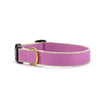 Up Country Color Market Dog Collar - Wide