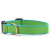 Up Country Color Market Dog Collar - Narrow (5/8")