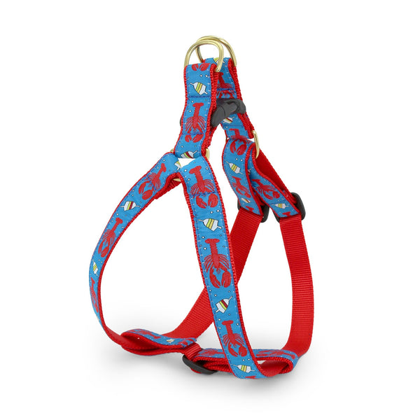 Up Country Lobster and Buoy Dog Harness