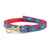 Up Country Lobster and Buoy Small Breed Dog Lead