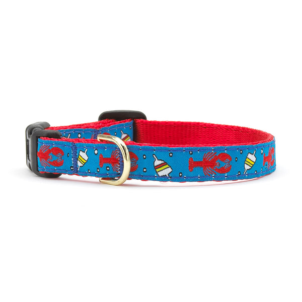 Up Country Lobster and Buoy Small Breed Dog Collar