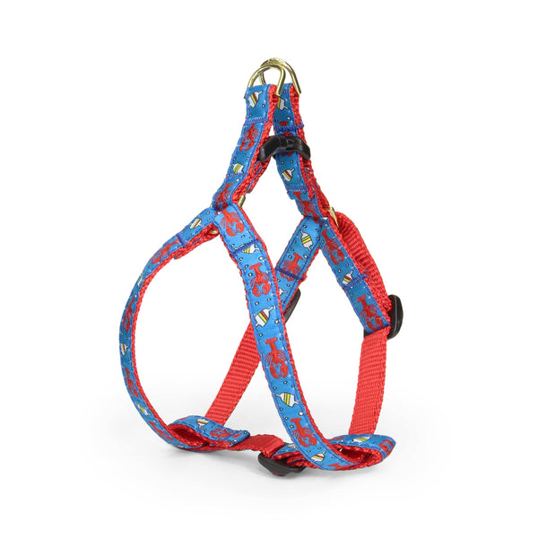 Up Country Lobster and Buoy Small Breed Dog Harness