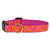 Up Country Love Dog Collar