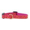 Up Country Love Small Breed Dog Collar