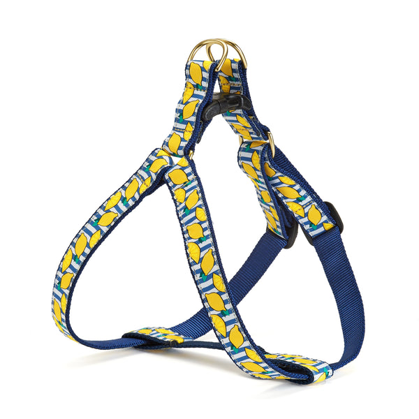 Up Country Make Lemonade Dog Harness