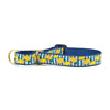 Up Country Make Lemonade Martingale Dog Collar