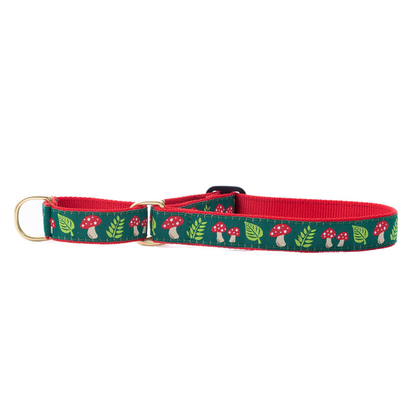 Up Country Mushrooms Martingale Dog Collar