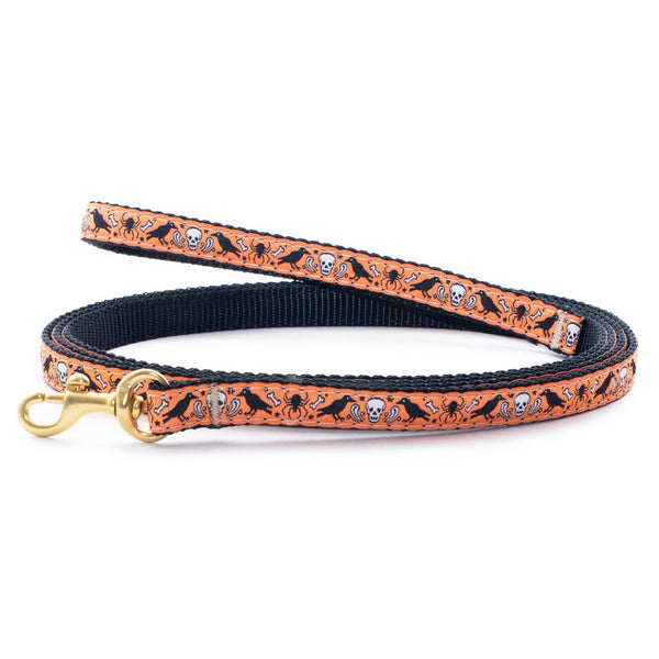 Up Country Nevermore Small Breed Dog Lead