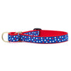 Up Country New Stars Martingale Dog Collar