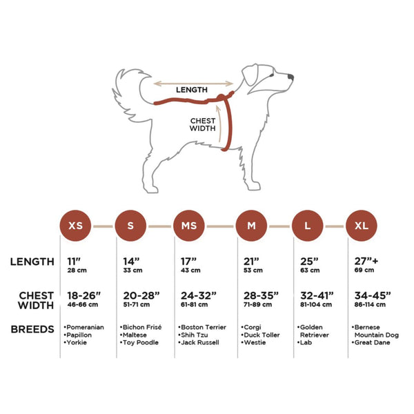 Rocky Mountain Dog Glacier Insulated Dog Parka (Winter Coat)