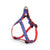 Up Country New Stars Small Breed Dog Harness